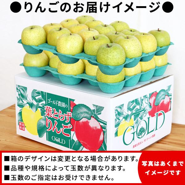 ゴールド農園 葉っぱの影は甘さのサイン【葉とらずりんご 王林10kg