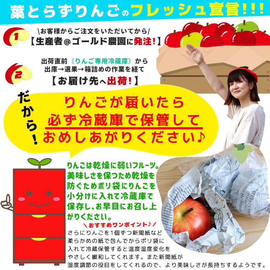 葉っぱの影は甘さのサイン 【葉とらずりんご 王林5kg ファーム】 家庭 