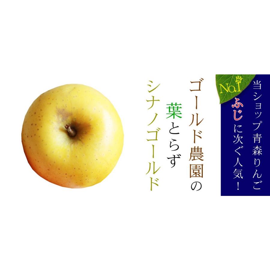 ゴールド農園 葉っぱの影は甘さのサイン【葉とらずりんご シナノ
