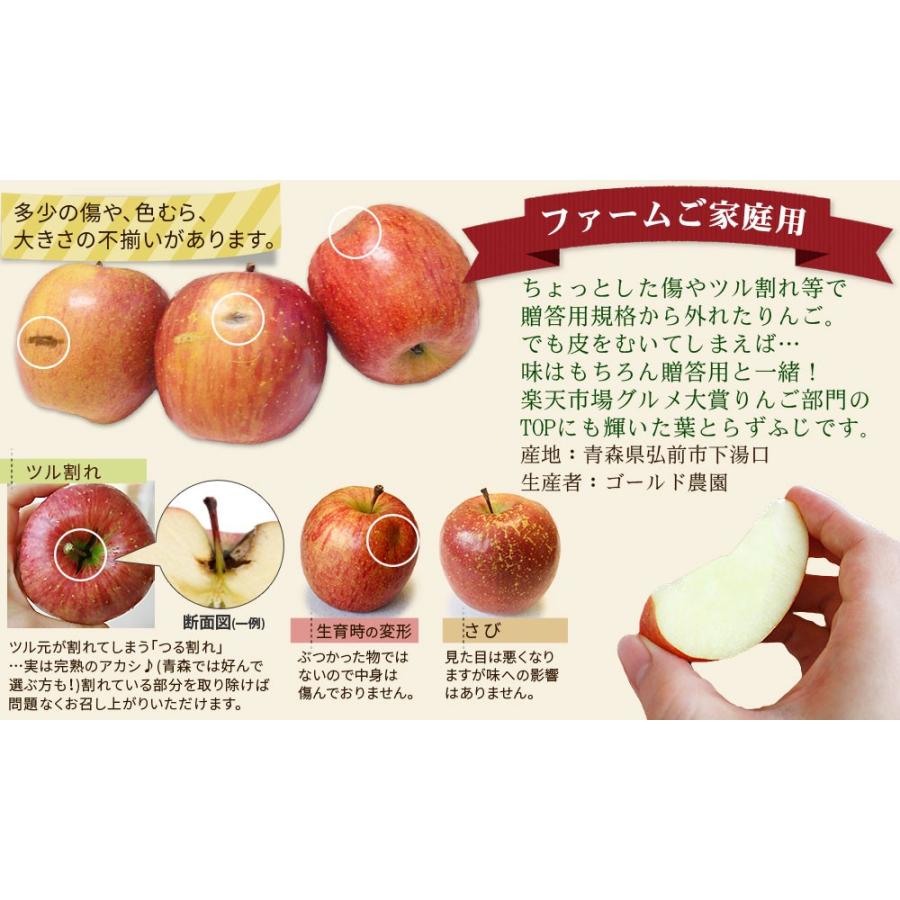 ゴールド農園 葉っぱの影は甘さのサイン【葉とらずりんご ふじ（有袋