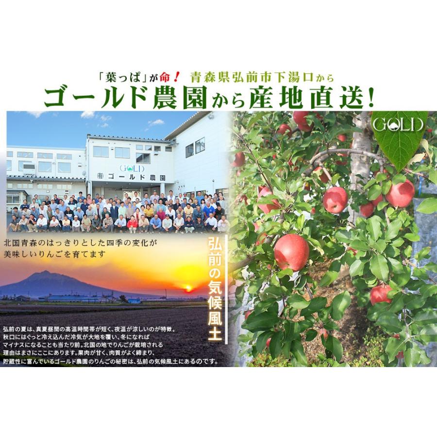 りんご 【青森県産りんご 紅玉 ファーム9kg以上】26-56玉 家庭用