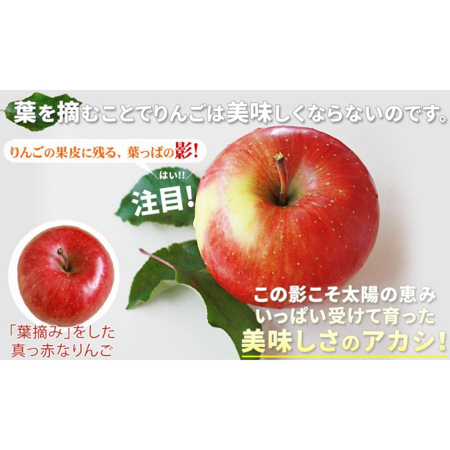 葉っぱの影は甘さのサイン【葉とらずりんご ふじ＋王林１５kg プレミアム】贈答用(14-18玉×3段)青森 送料無料 [※産地直送のため同梱不可]「GOLD」｜cameashi｜09