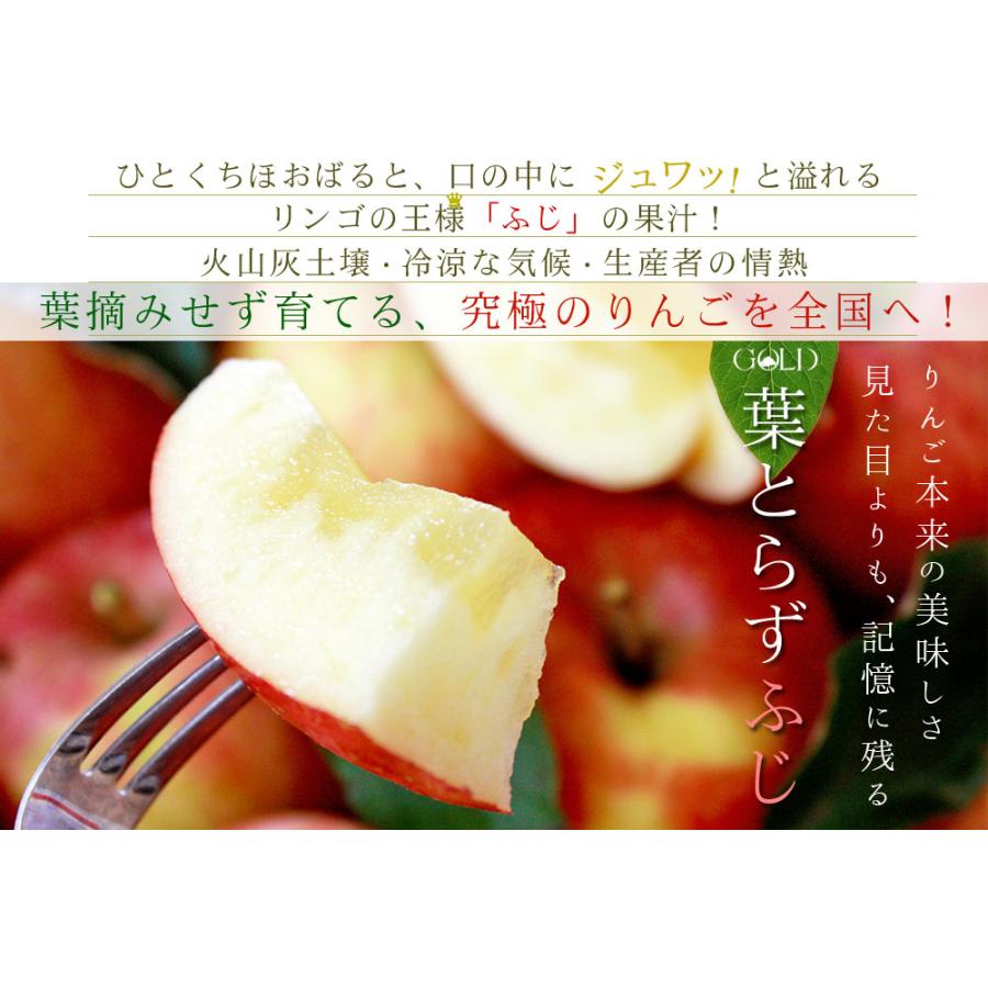 ゴールド農園 【葉とらずりんご ふじ＋シナノゴールド ファーム5kg