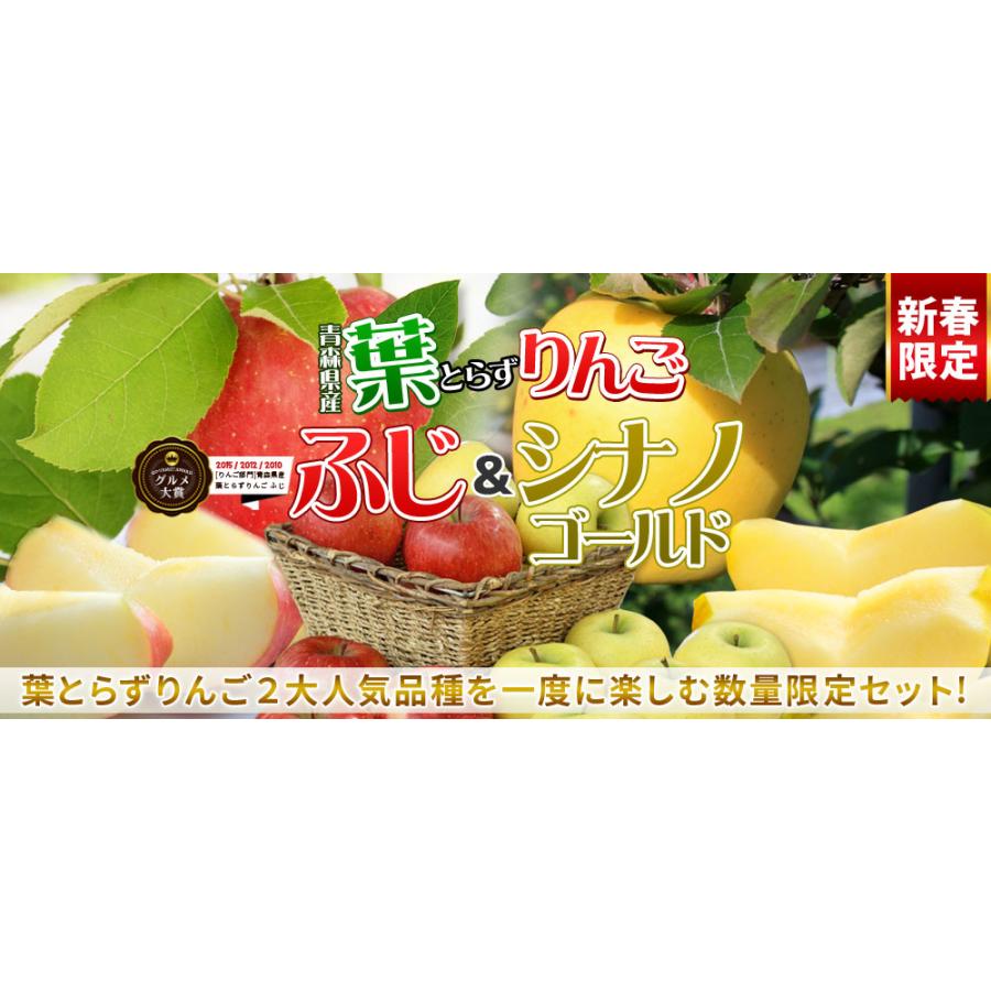 新春限定 青森 りんご 福袋【葉とらずりんご ふじ＋シナノゴールド ファーム5kg】 家庭用(13-23玉) 送料無料 [※産地直送のため同梱不可]｜cameashi｜04