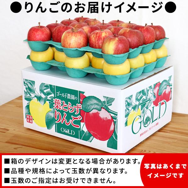 ゴールド農園 【葉とらずりんご ふじ＋シナノゴールド ファーム10kg