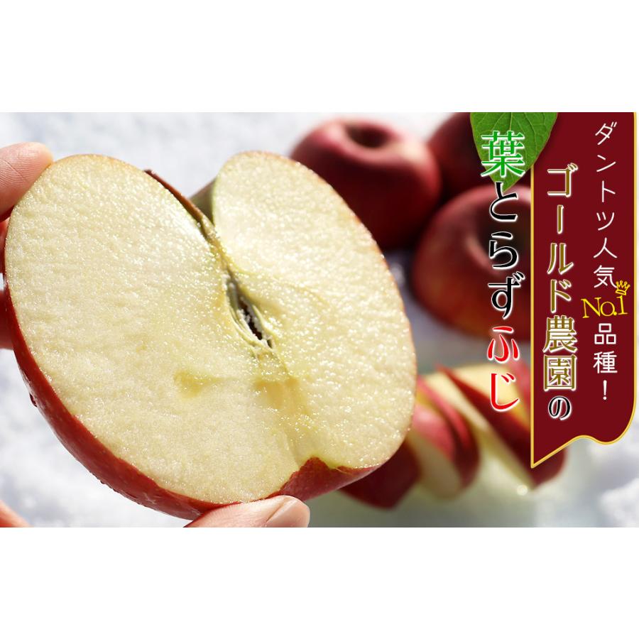 ゴールド農園 葉っぱの影は甘さのサイン【葉とらずりんご ふじ2kg
