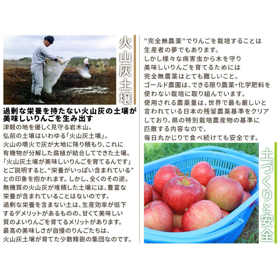 葉とらずりんご シナノスイート2 7kg ファーム 家庭用 7 12玉 本場青森 ゴールド農園 送料無料 りんご 産地直送のため同梱不可 111gd かめあし商店オンラインショップ 通販 Yahoo ショッピング