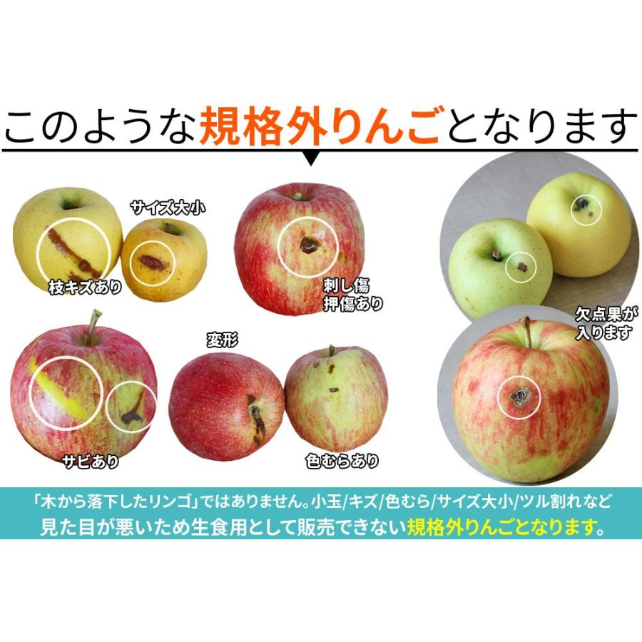 りんご 訳あり 10kg 送料無料 規格外品 大小混合 青森県産 訳あり りんご10kg 加工用 バラ詰め2段 36 65玉 リンゴ 林檎 青森 りんご 産地直送同梱不可 111gd かめあし商店オンラインショップ 通販 Yahoo ショッピング