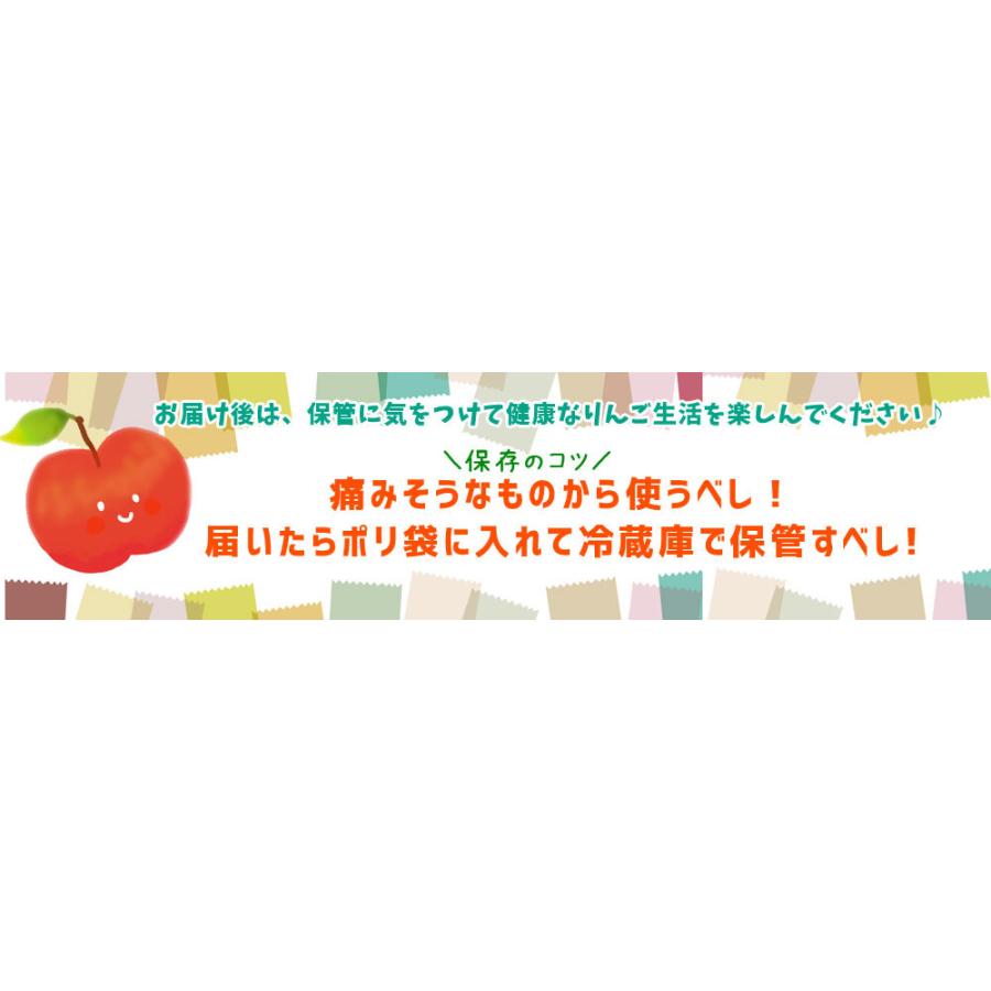 りんご 訳あり 10kg 送料無料 【青森県産 りんご10kg】 加工用 規格外