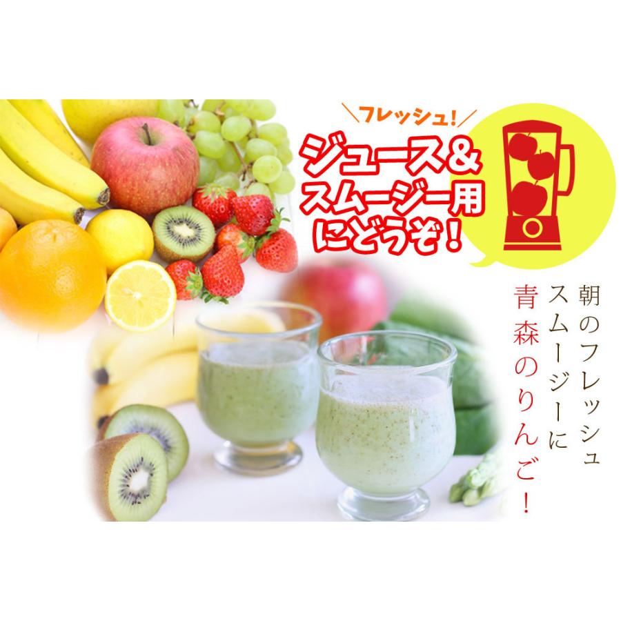 りんご 訳あり 10kg 送料無料 【青森県産 りんご10kg】 加工用 規格外