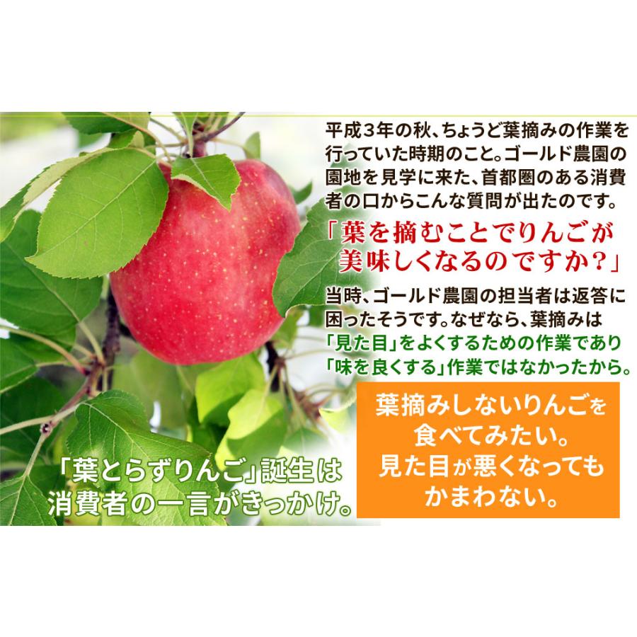 ゴールド農園 母の日限定 ＼感謝状付き／ 送料無料【葉とらずりんご 有