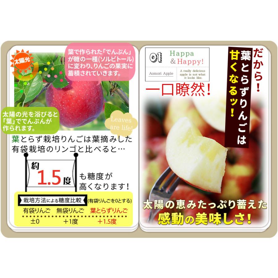 ゴールド農園 母の日限定 ＼感謝状付き／ 送料無料【葉とらずりんご 有
