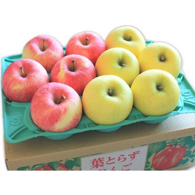 ゴールド農園 母の日限定 ＼感謝状付き／ 送料無料【葉とらずりんご 有