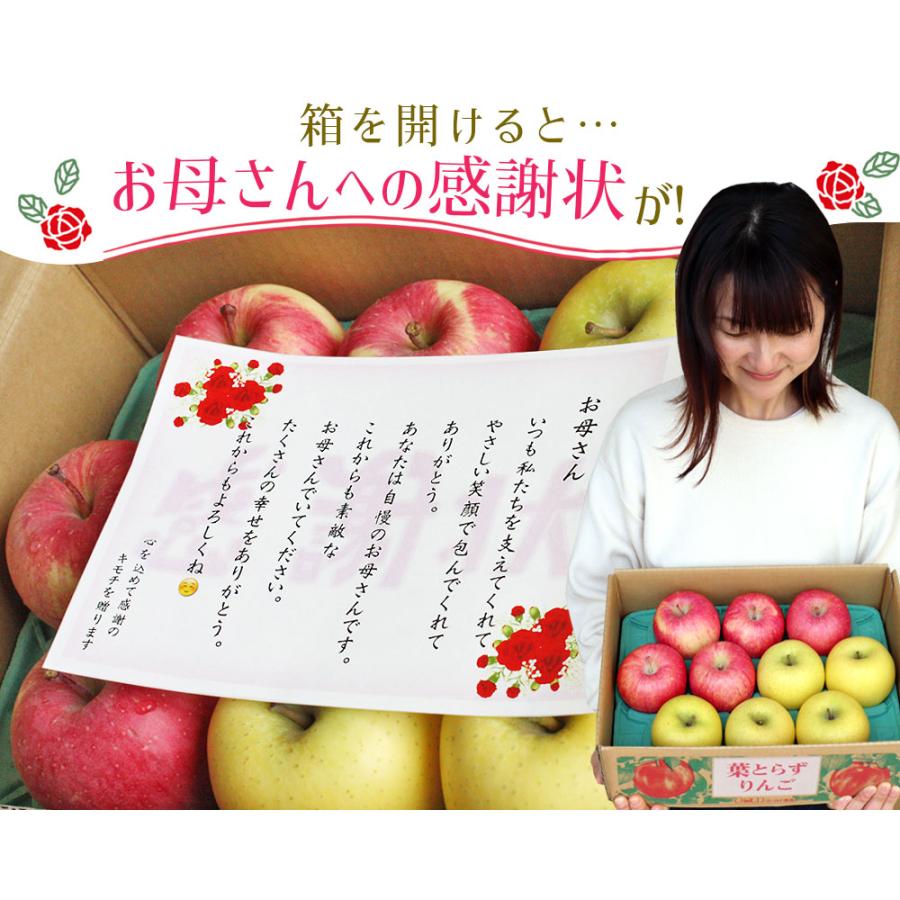 ゴールド農園 母の日限定 ＼感謝状付き／ 送料無料【葉とらずりんご 有