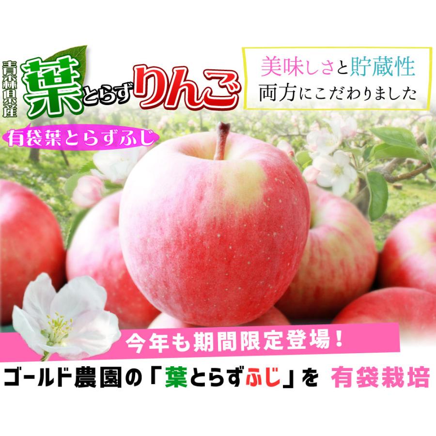 ゴールド農園 母の日限定 ＼感謝状付き／ 送料無料【葉とらずりんご 有