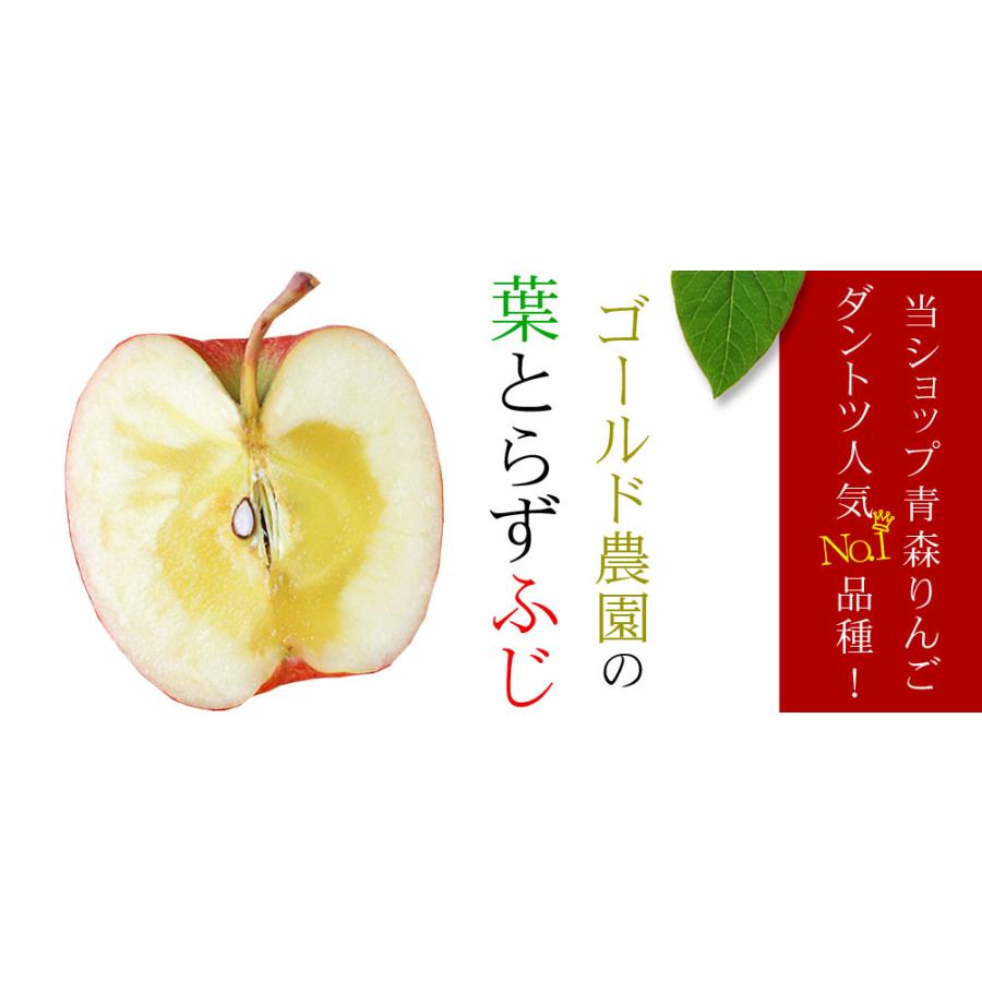 ゴールド農園 母の日限定 ＼感謝状付き／ 送料無料【葉とらずりんご 有
