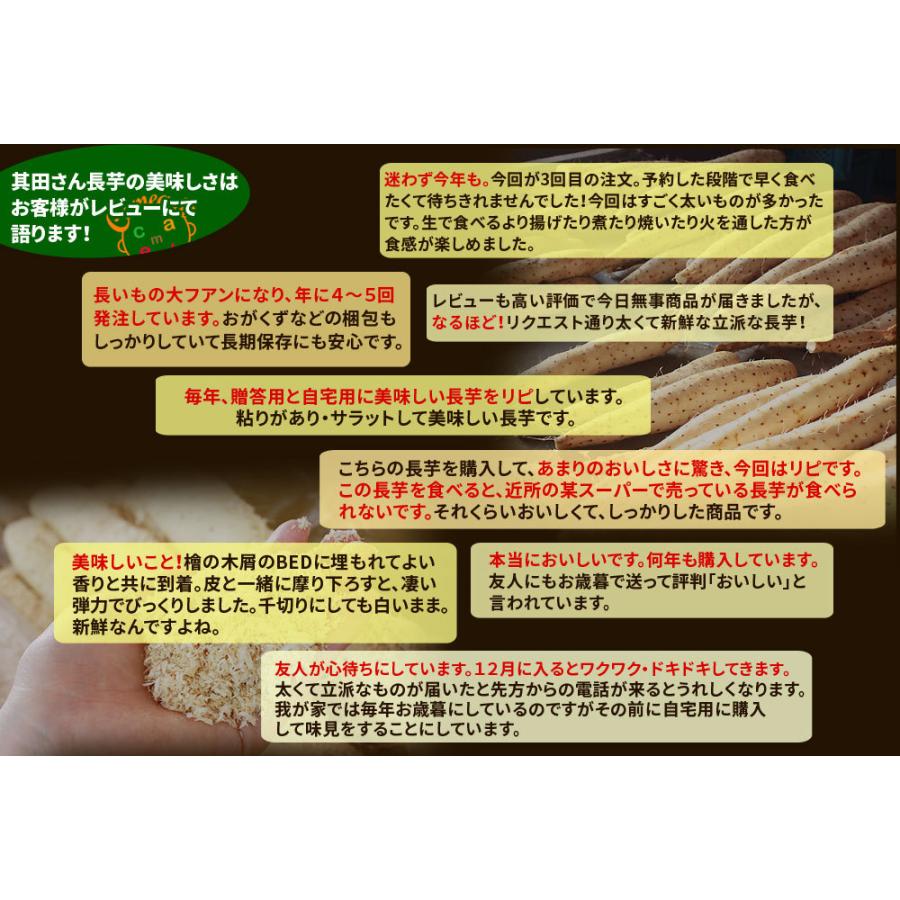 青森県産 砂丘長いも 贈答用 秀品 送料無料 長芋贈答用３ｋｇ 山芋 とろろ 長芋 長いも ながいも 産地直送同梱不可 111st かめあし商店オンラインショップ 通販 Yahoo ショッピング