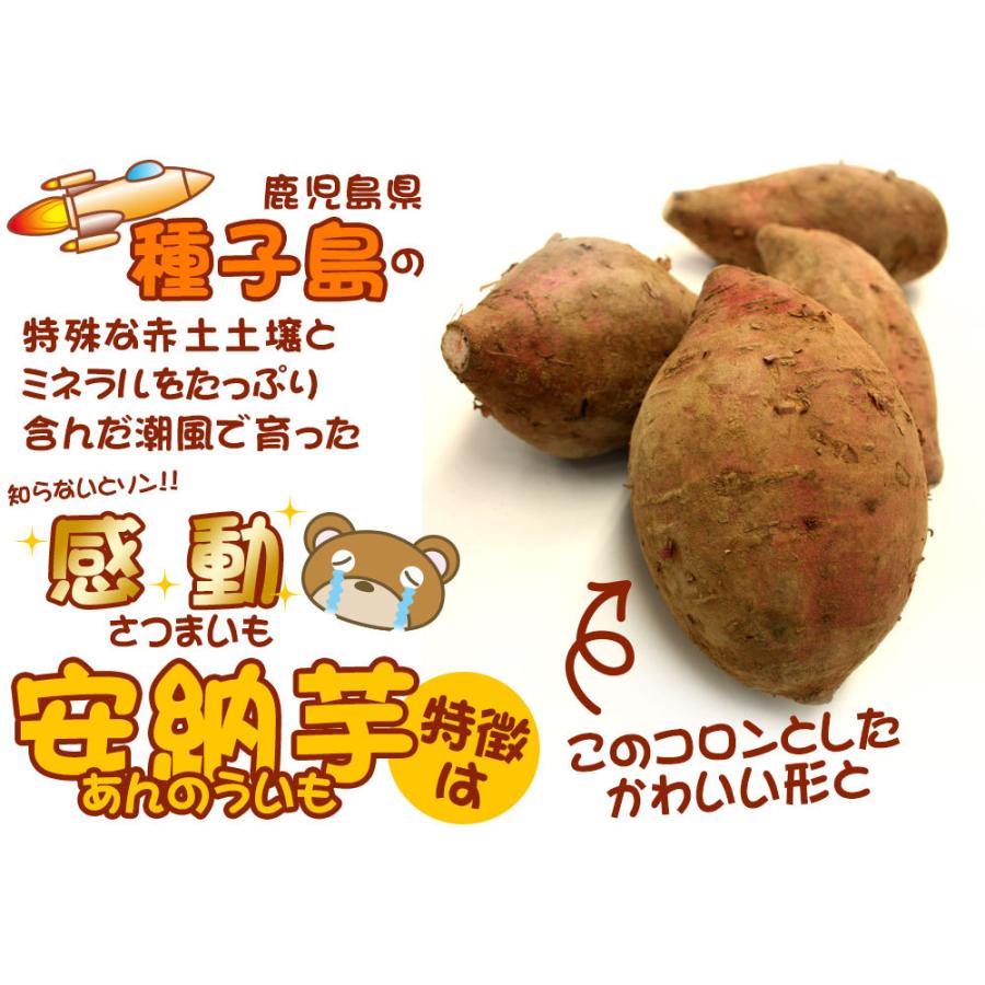 ひーの 種子島産安納芋(安納こがね)25キロ サイズ混在 ひーの様専用 種子島産安納芋(安納こがね)25キロ サイズ混在
