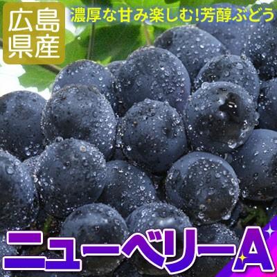 送料無料 ぶどう ニューベリーa 化粧箱4 5房 広島県産 種無し ぶどう ブドウ 贈答用 ギフト クール便 当店他商品との同梱不可 112tk かめあし商店オンラインショップ 通販 Yahoo ショッピング