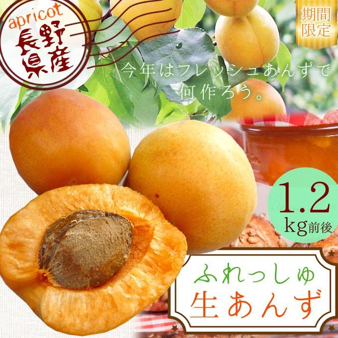 あんず 生食 送料無料 長野県産 生あんず 1 2kg前後 600g 2パック 手作りアプリコットジャムやシロップ漬け砂糖漬けに クール便 産地直送同梱不可 112tk かめあし商店オンラインショップ 通販 Yahoo ショッピング
