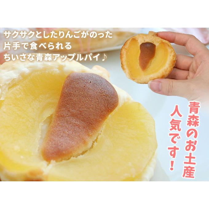 ラグノオ りんごパイ 【アップルパイ 旅さち10個入】青森銘菓[※当店