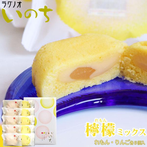 ラグノオ ＼期間限定／ 青森 お土産 スイーツ カスタードケーキ