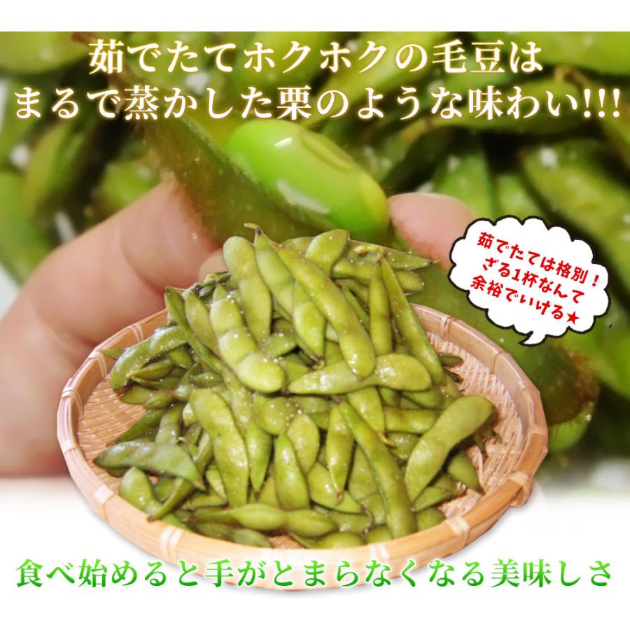 枝豆　採りたて　青森産　A品 送料無料 青森 減農薬 えだ豆【いたや毛豆250g×10P】青森県板柳町限定