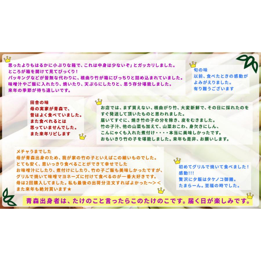 たけのこ 送料無料 根曲がり竹 今が旬 天然根曲がり竹 生 2kg メガセット クール便 他商品との同梱不可 竹の子 タケノコ 天然 山菜 112ce かめあし商店オンラインショップ 通販 Yahoo ショッピング