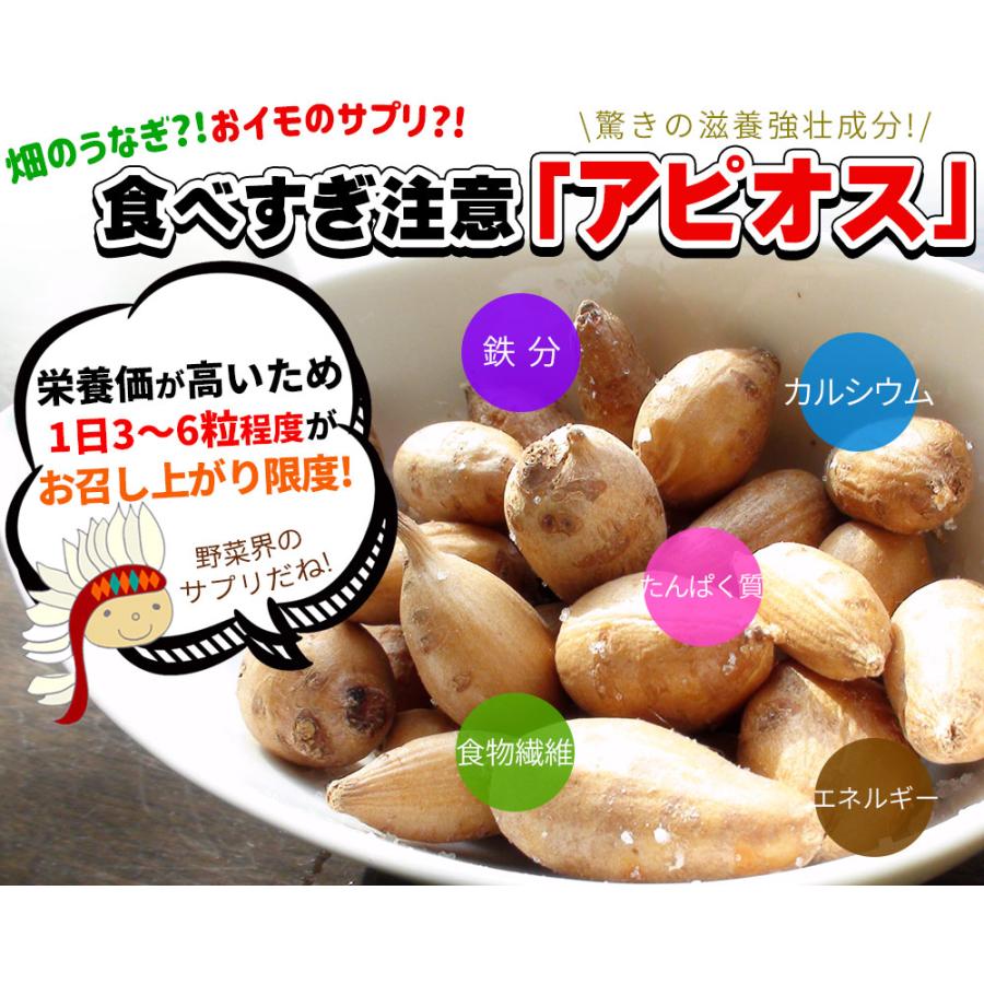 【青森産 アピオス700g】畑のうなぎ?!驚きの栄養満点おイモ登場！クセになる美味しさのほくほくアピオス☆[※冷凍便][※他商品との同梱不可]｜cameashi｜08