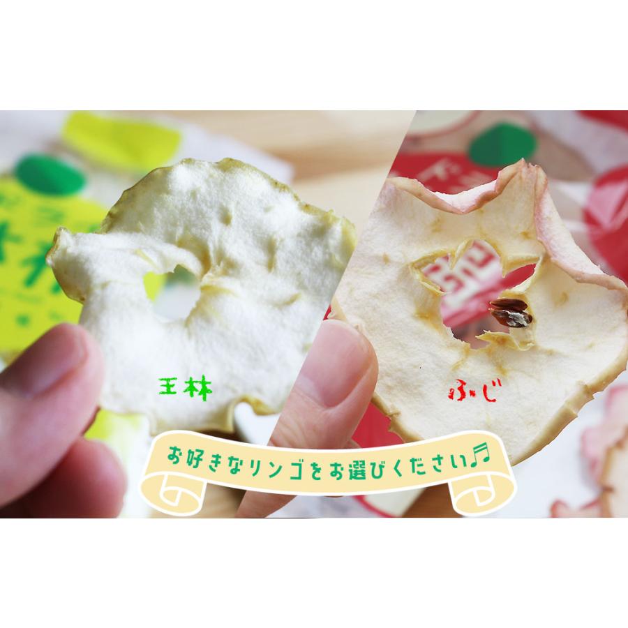 青森 りんご【ドライ林檎 ふじ 15g】 ドライフルーツ ドライりんご