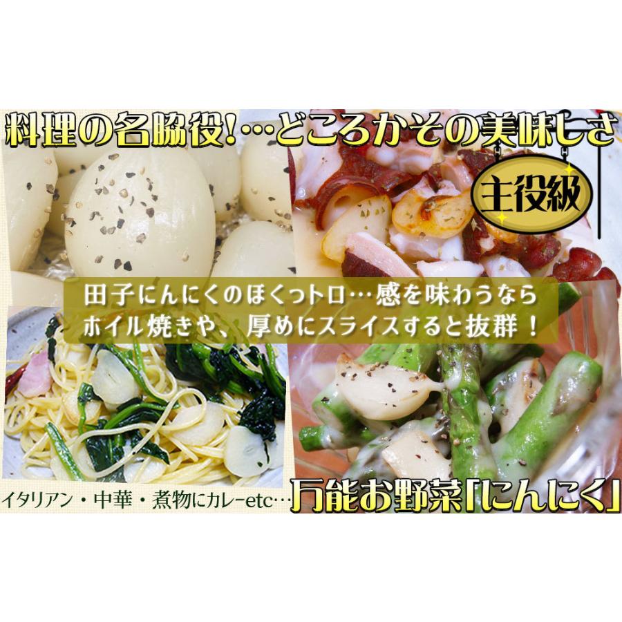 青森県産 田子 にんにく 特選Lサイズ 送料無料 2025年度産 【田子町産