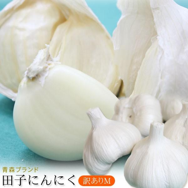 青森県産 田子 にんにく 訳あり Mサイズ 送料無料 2026年度産【田子町