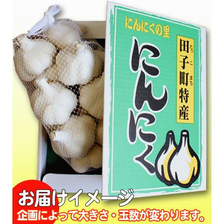 青森県産 田子 にんにく 訳あり Mサイズ 送料無料 2025年度産【田子町