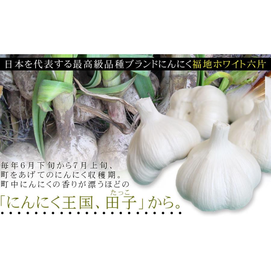 青森県産 田子 にんにく 訳あり Mサイズ 送料無料 2025年度産【田子町  