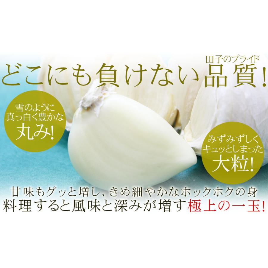 青森県産 田子 にんにく 訳あり Mサイズ 送料無料 2025年度産【田子町