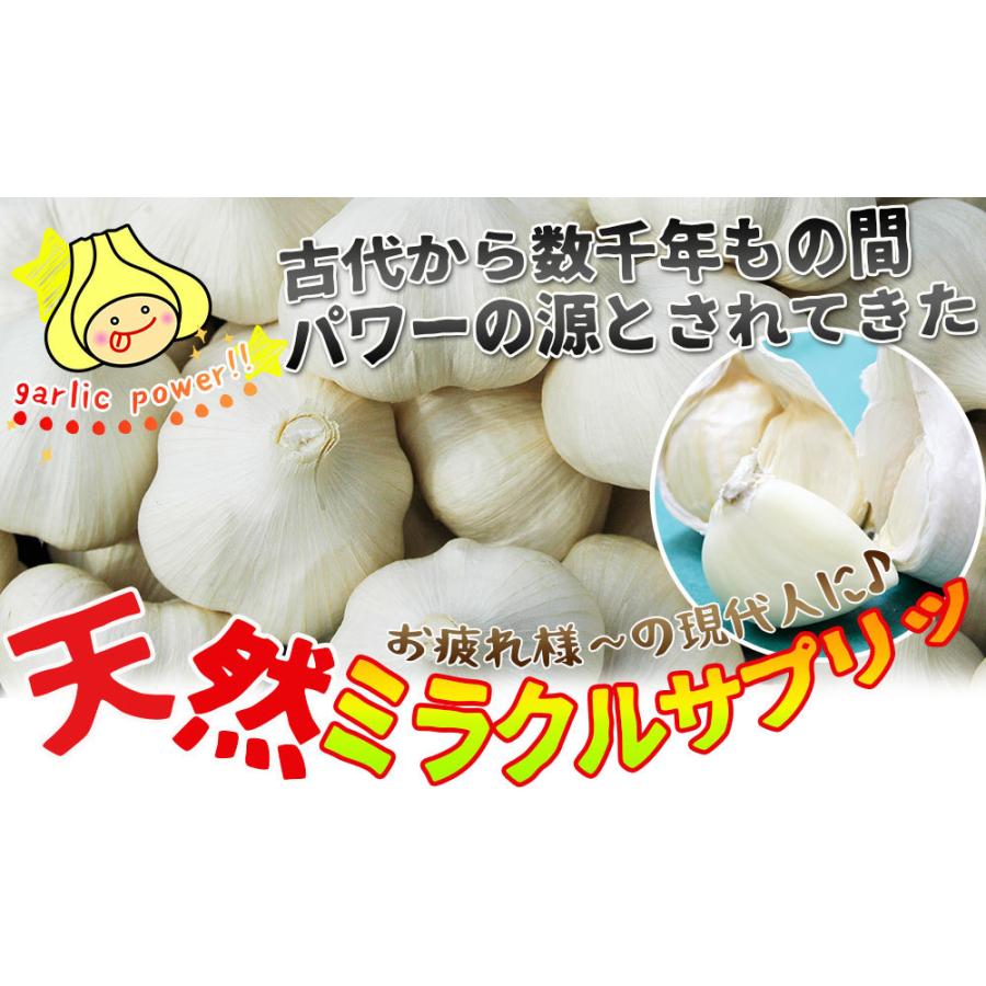 青森県産 田子 にんにく 上級品Mサイズ 送料無料 2025年度産 【田子町