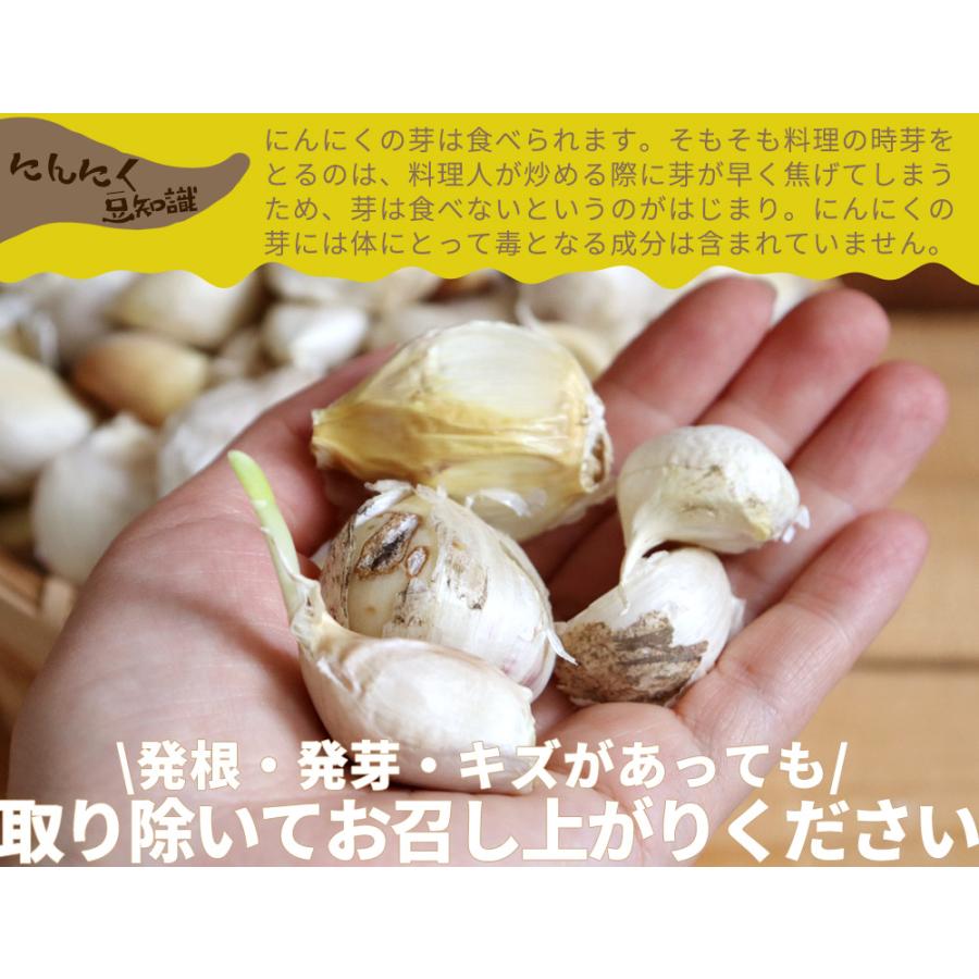 青森県産 にんにく【田子町産 バラ詰めにんにく 訳あり1kg】 送料無料