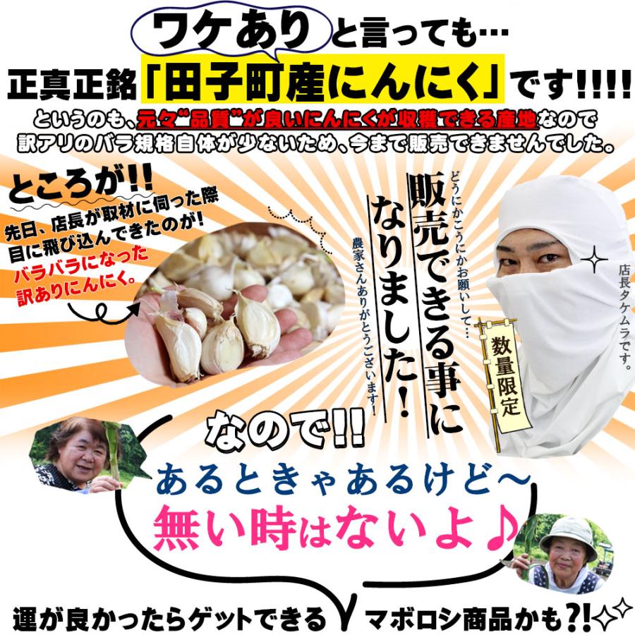 青森県産 にんにく【田子町産 バラ詰めにんにく 訳あり1kg】 送料無料