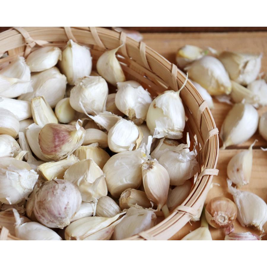 青森県産 にんにく【田子町産 バラ詰めにんにく 訳あり1kg】 送料無料