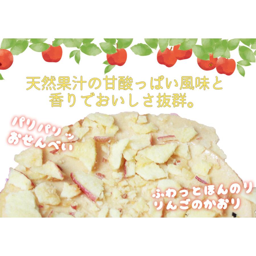 林檎せんべい10枚入】 津軽せんべい 津軽煎餅 りんごチップ 青森県産