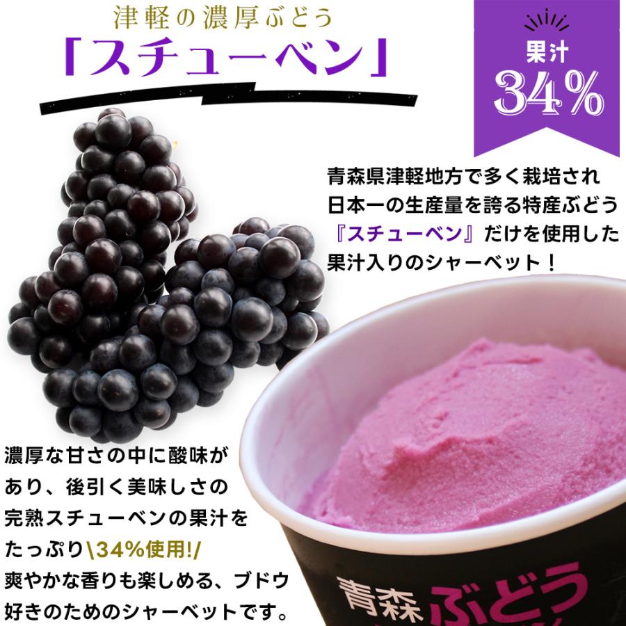 果樹５点セット　桃　りんご　葡萄　ブルーベリー　　　ハスカップ　ラズベリー 選べる【果汁 シャーベット 120ml×12個】 送料無料 りんご ぶどう お