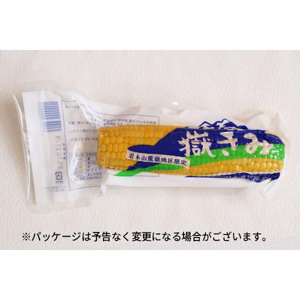 嶽きみ 真空パック Mサイズ】 1本 青森県が誇るブランド とうもろこし