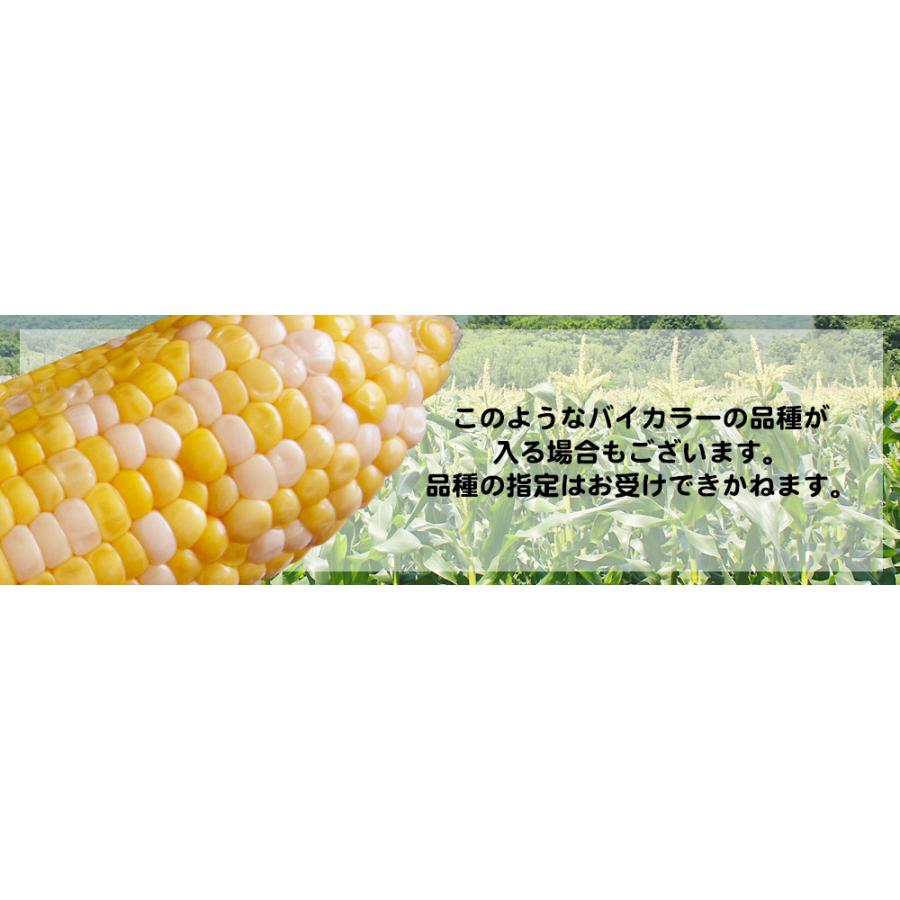 嶽きみ 真空パック Mサイズ】 1本 青森県が誇るブランド とうもろこし