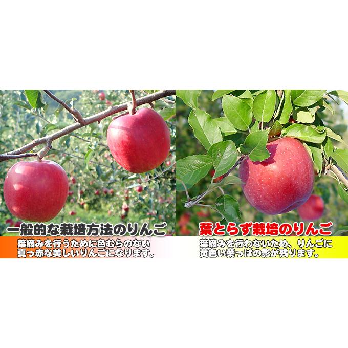 ストレートりんごジュース12本】青森りんごランド 葉とらずりんご 果汁