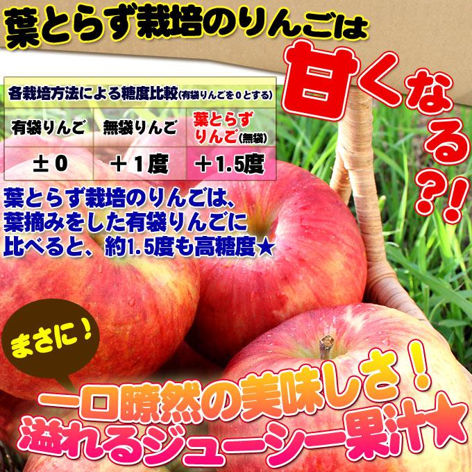 ストレートりんごジュース 30本】青森りんごランド 葉とらず