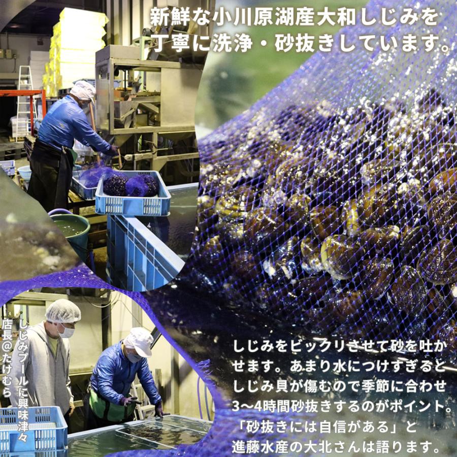 青森 しじみ貝 販売 送料無料【小川原湖産 冷凍しじみ Lサイズ