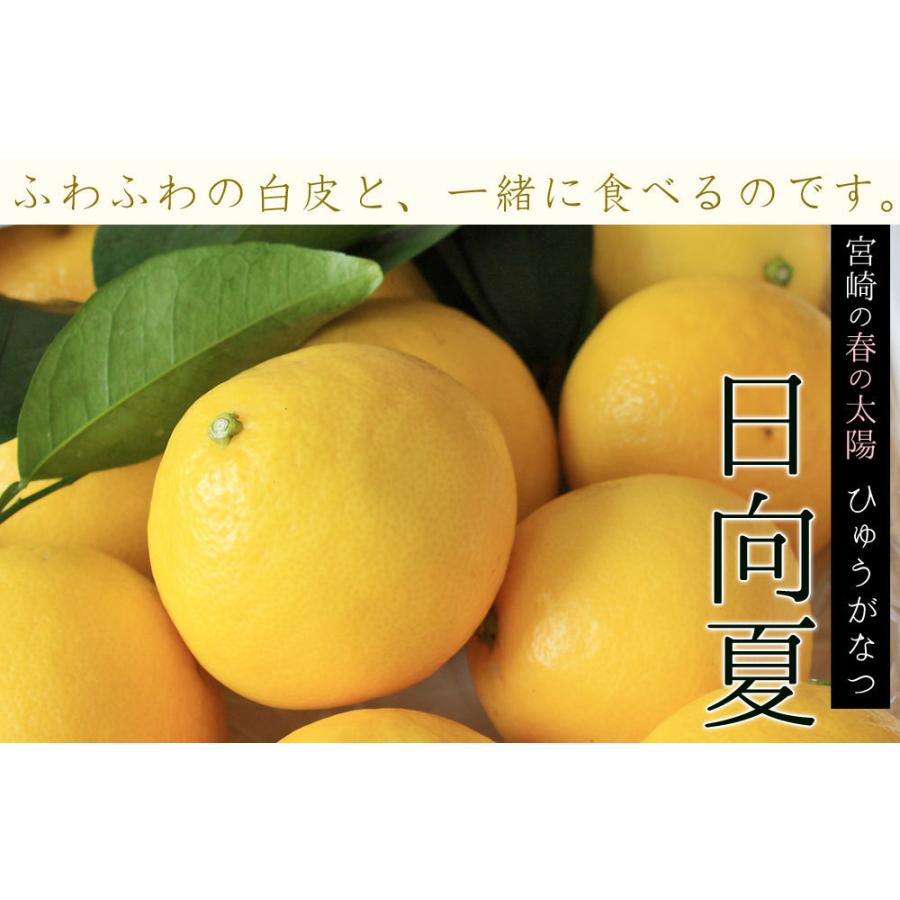 宮崎県産 【日向夏自家用3kg】 送料無料 15-20玉前後 直径6-8cm位です