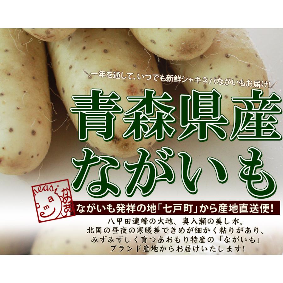 長芋 送料無用 青森県 東北町 七戸町産【青森県産ながいも贈答用5kg
