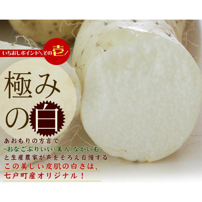 ⚠️ほだ様確認用⚠️青森県産長芋(庄司)小さめ