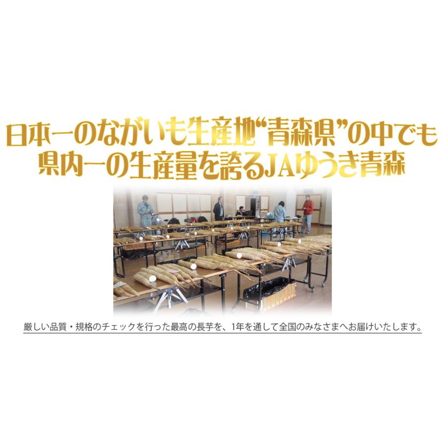 JUN3003②Ａ品二箱送料込み　青森県産　春ぼり長芋 ほりたて 青森県産 冷凍長芋とろろパック 50g×15個【青森県産 とろろ 冷凍
